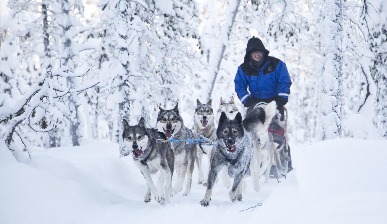 Wilderness Hotel Nangu & Igloos อีวาโล ภายนอก รูปภาพ